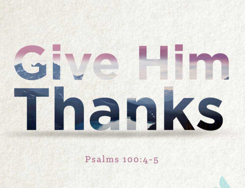 Day 1 ~ Give Thanks | Kit Tabor