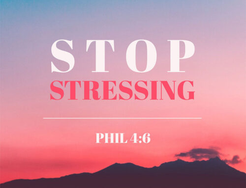 Day 2 ~ Stop Stressing | Kit Tabor